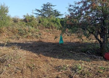 Casa indipendente Lipari - foto 45