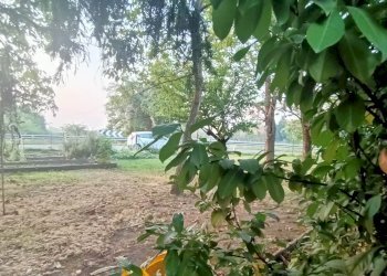 Casa indipendente Modena - foto 4