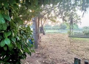 Casa indipendente Modena - foto 6