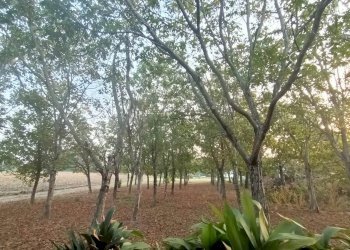 Casa indipendente Modena - foto 7