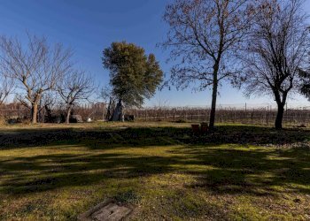 Villa Bifamiliare Modena - foto 58