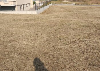 Terreno edificabile Castellarano - foto 8