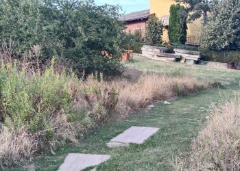 Terreno edificabile Via Don Illariucci, Castellarano - foto 5