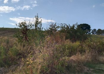 Terreno edificabile Via Don Illariucci, Castellarano - foto 8