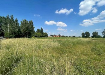 Terreno edificabile Via Chiesa, San Prospero - foto 6