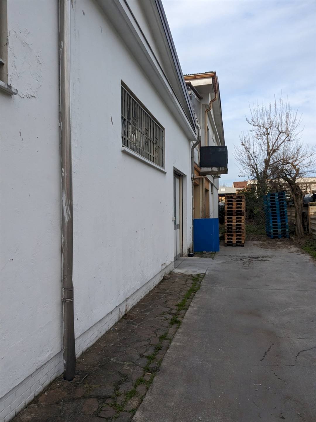 Attività Commerciale Modena - foto 2