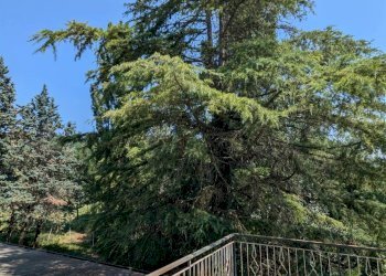 Appartamento Via Verica 251, 252, Pavullo nel Frignano - foto 29