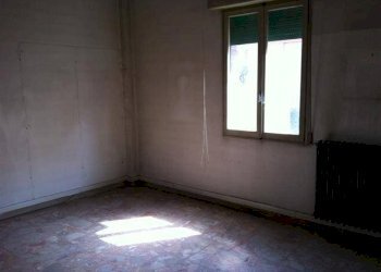 Negozio Modena - foto 3