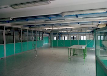 Capannone Via Divisione Acqui 1, Formigine - foto 3