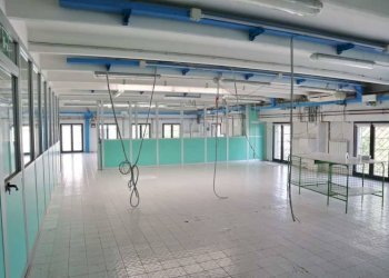 Capannone Via Divisione Acqui 1, Formigine - foto 34