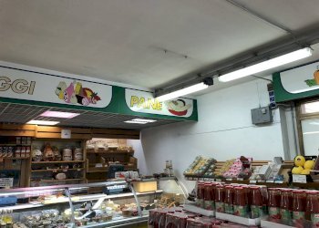 Negozio Modena - foto 2