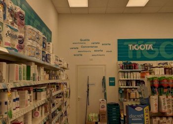 Attività Commerciale San Felice sul Panaro - foto 6