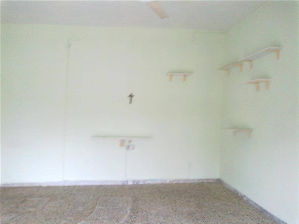 Shop San Prospero - photo 1