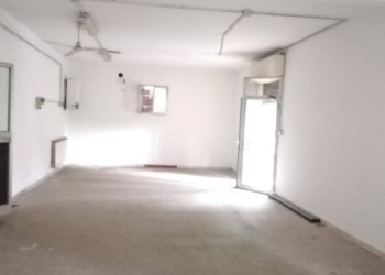 Shop Modena - photo 6