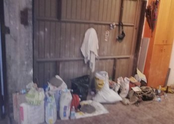 Garage - Parking Modena - photo 3