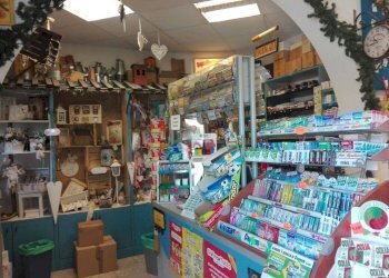 Attività Commerciale Modena - foto 2