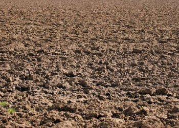 Terreno agricolo Via di Mezzo 122, Nonantola - foto 1