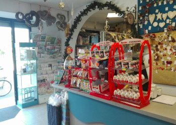 Attività Commerciale Modena - foto 2