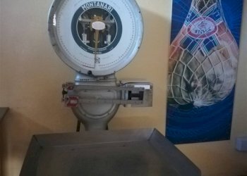 Negozio Serramazzoni - foto 7