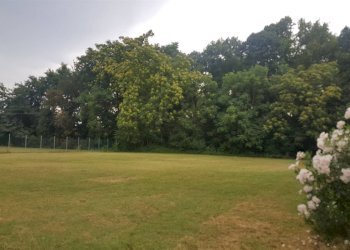 Terreno edificabile Bomporto - foto 4