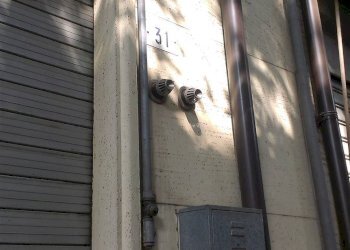 Shop Modena - photo 6