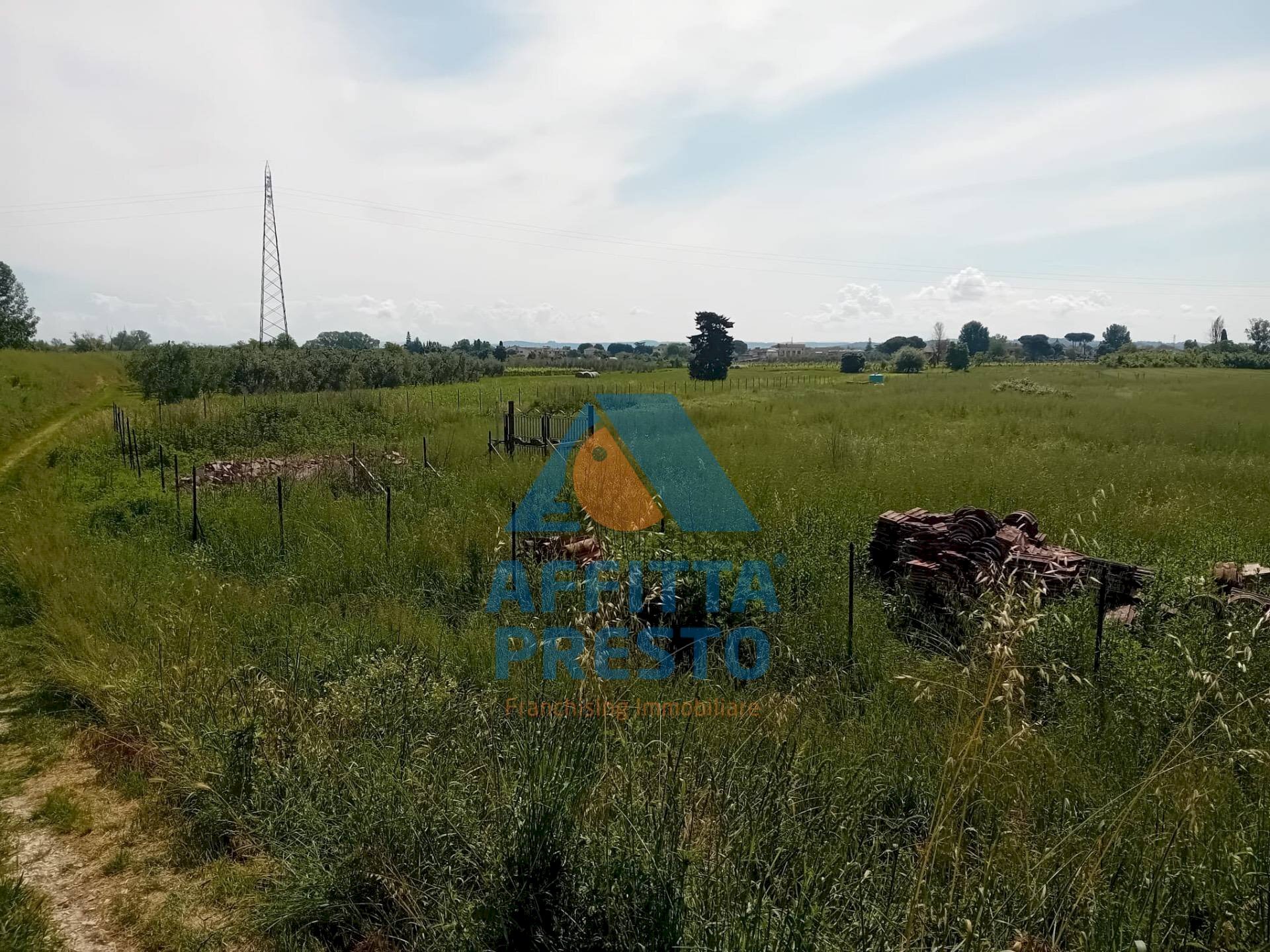 Foto 2 - Terreno agricolo San Miniato - foto 2