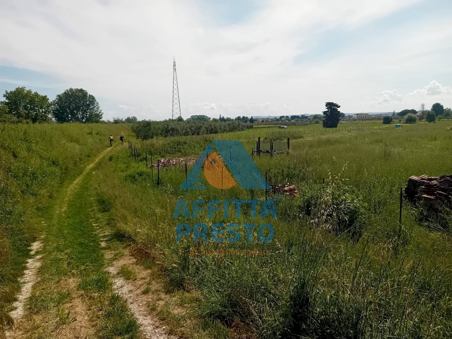 Foto 3 - Terreno agricolo San Miniato - foto 3