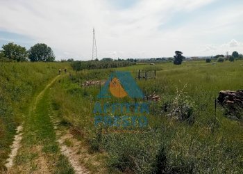 Foto 3 - Terreno agricolo San Miniato - foto 3