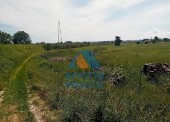 Foto 4 - Terreno agricolo San Miniato - foto 4