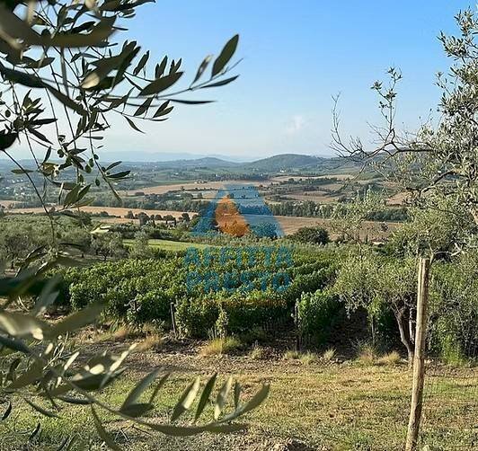 Foto 1 - Commercial Activity Empoli - photo 1