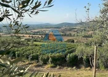 Foto 1 - Commercial Activity Empoli - photo 1