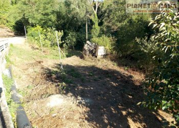 Foto 20 - Independent house Frazione Ponte di Pedana, Ascoli Piceno - photo 20