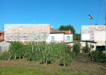 Foto 6 - Casa semi indipendente via Volpi
32, Falerone - foto 6