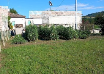 Foto 20 - Casa semi indipendente via Volpi
32, Falerone - foto 20