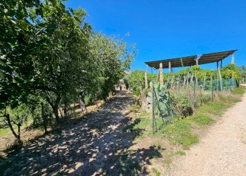 Foto 19 - Rustico Ete Caldarette
 
43, Fermo - foto 19