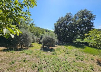 Foto 20 - Rustico Ete Caldarette
 
43, Fermo - foto 20