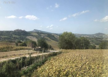 Foto 15 - Independent house C.da San Taddeo
 
10, Force - photo 15