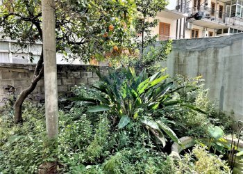 Giardino - Casa semi indipendente Via Francesco Guglielmino
 
47, Aci Catena - foto 15