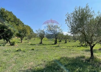 Giardino - Rustic Rocchetta a Volturno - photo 19