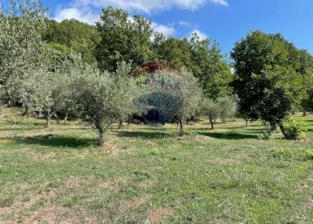 Giardino - Rustic Rocchetta a Volturno - photo 20