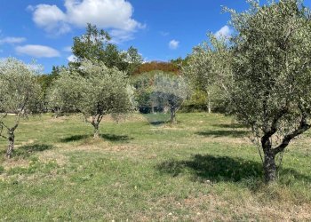 Giardino - Rustic Rocchetta a Volturno - photo 21