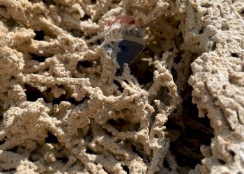 Vista delle montagne - Rustic Rocchetta a Volturno - photo 45