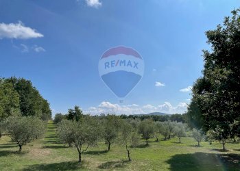 Vista delle montagne - Rustic Rocchetta a Volturno - photo 46