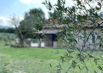 Giardino - Rustic Rocchetta a Volturno - photo 54