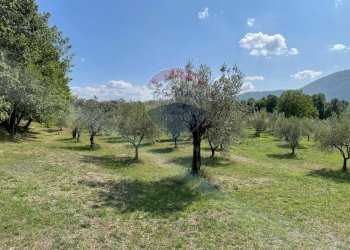 Giardino - Rustic Rocchetta a Volturno - photo 56