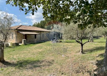 Giardino - Rustic Rocchetta a Volturno - photo 60