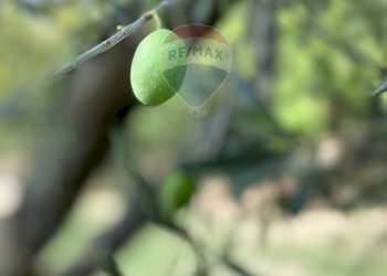 Non correlato - Rustic Rocchetta a Volturno - photo 61