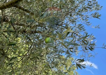 Edificio all\'aperto - Rustic Rocchetta a Volturno - photo 62