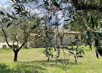 Giardino - Rustic Rocchetta a Volturno - photo 63