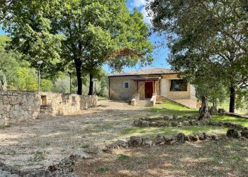 Casa all\'aperto - Rustic Rocchetta a Volturno - photo 68